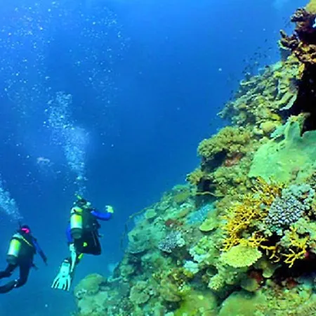 V4, Jardins Branqueira Near Beach, Villa Albufeira