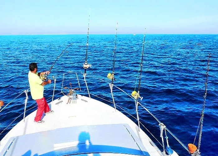 V4, Jardins Branqueira Near Beach,